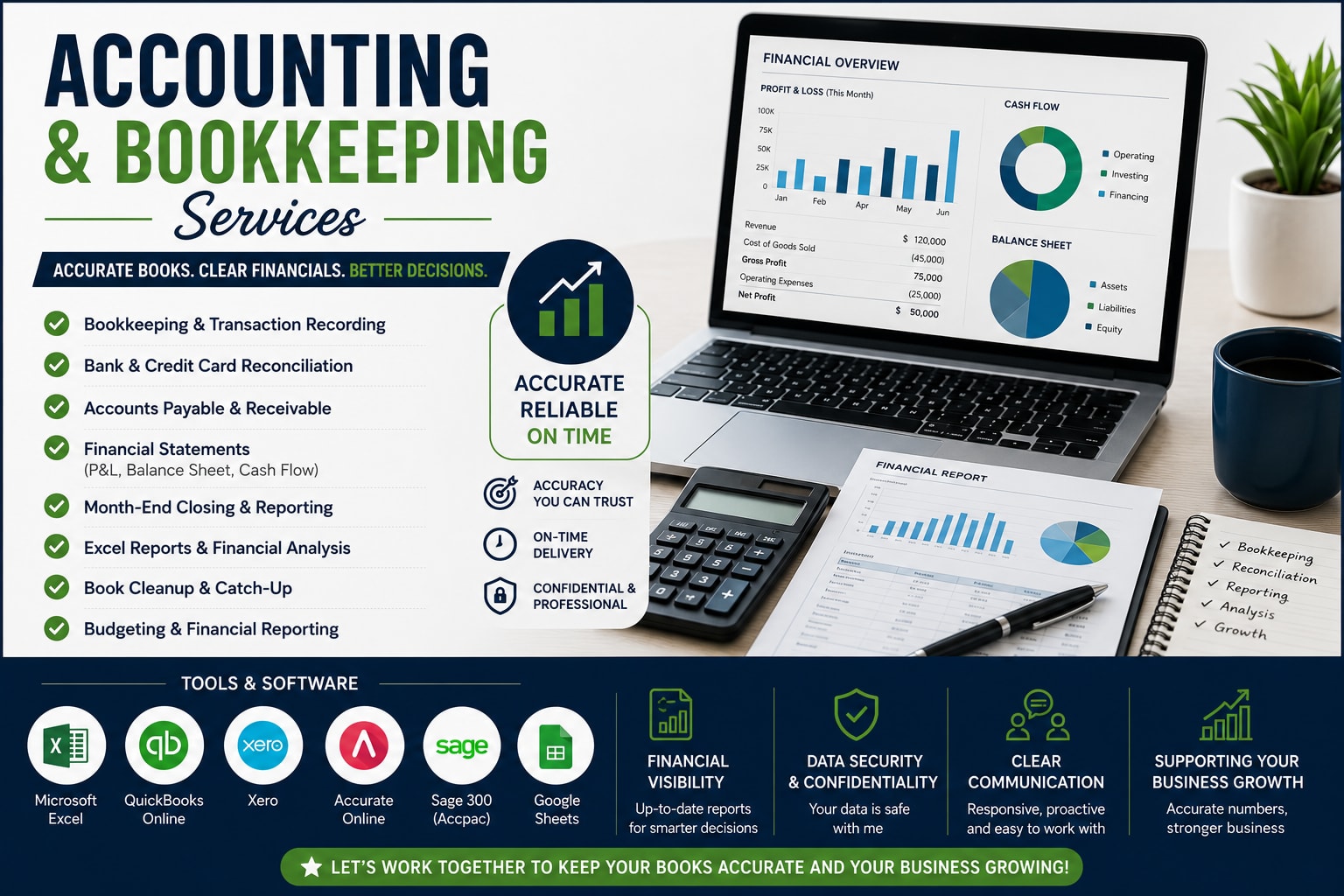 Portfolio for Accounting Professional