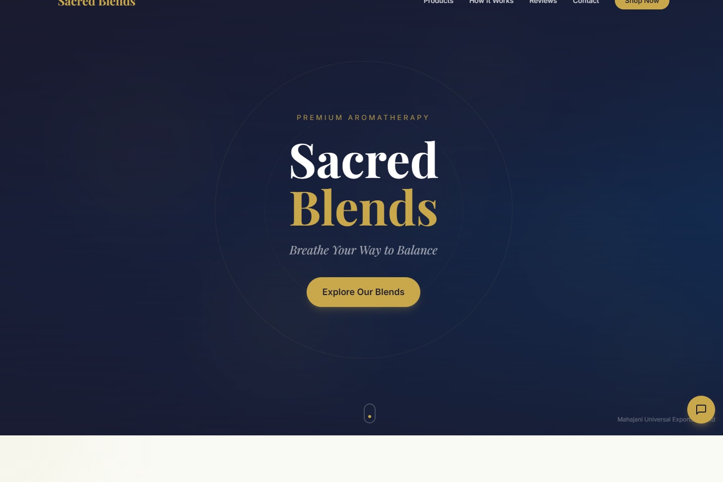 Portfolio for Web Page Development