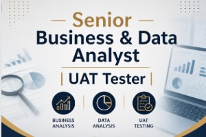 Portfolio for Senior Business & Data Analyst