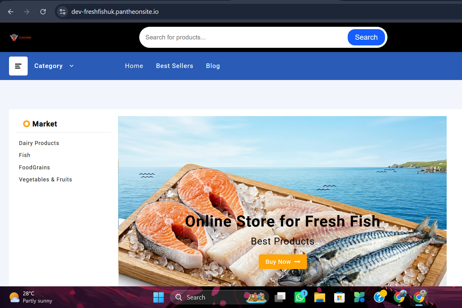 Portfolio for Responsive WordPress Website Design
