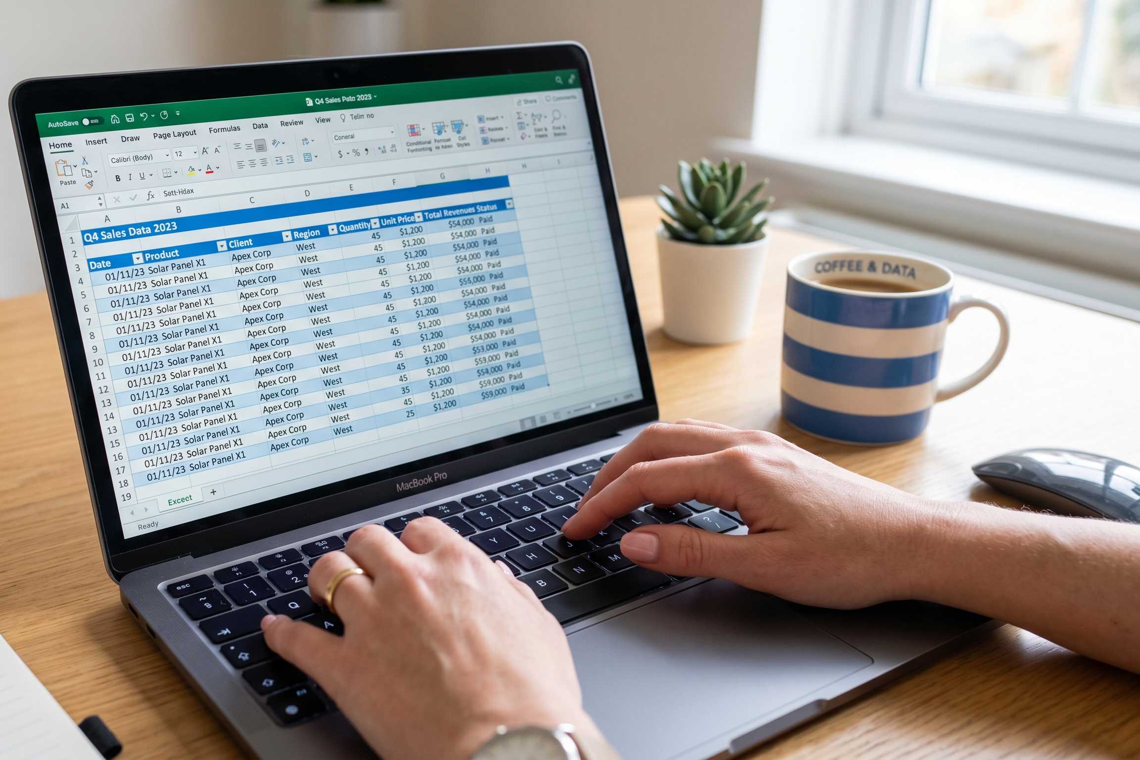 Portfolio for Data Entry & Database Management