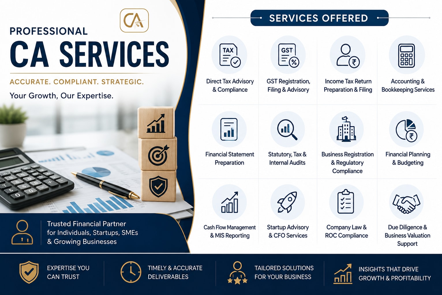 Portfolio for Finance, Accounts Advisor and Consultant