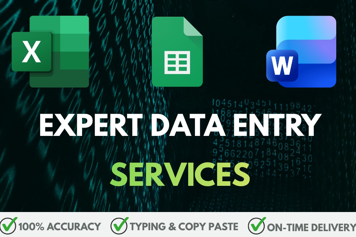 Portfolio for Professional Data Entry, Excel Formattin