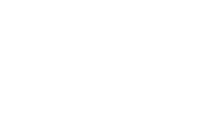 Portfolio for Translation English too Urdu