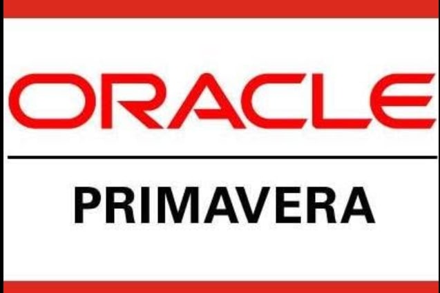 Portfolio for Primavera P6