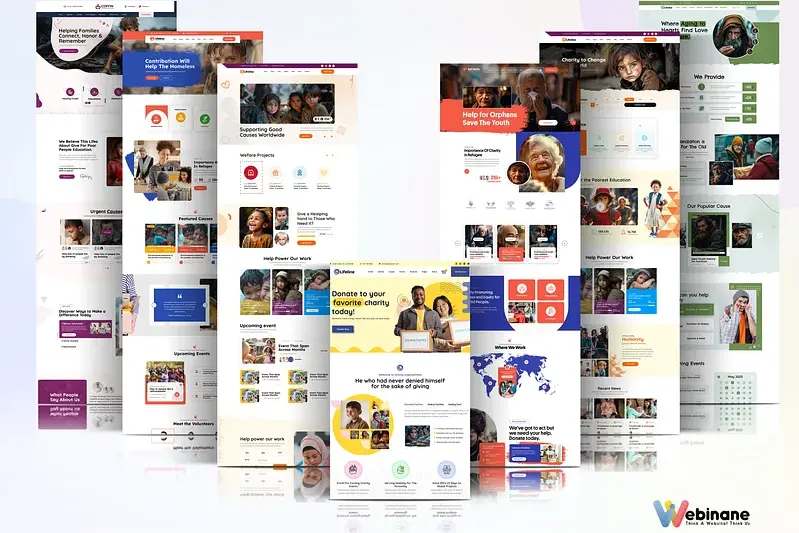 Portfolio for Nonprofit Donation Website Development