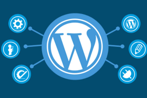Portfolio for Senior PHP & WordPress Developer