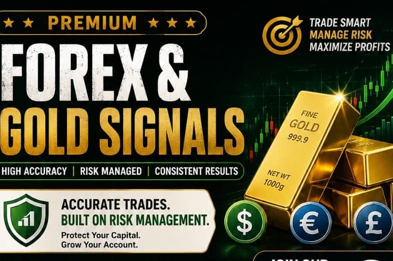 Portfolio for Forex & Gold Portfolio Manager