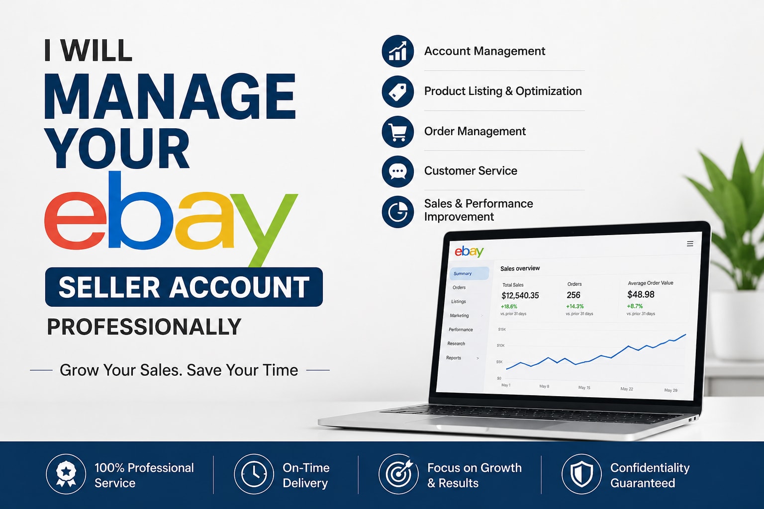 Portfolio for Full eBay Store Management
