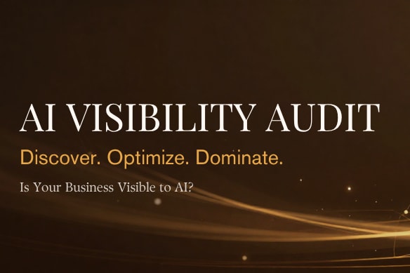 Portfolio for AI Visibility Audit
