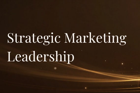 Portfolio for Strategic Marketing Leadership