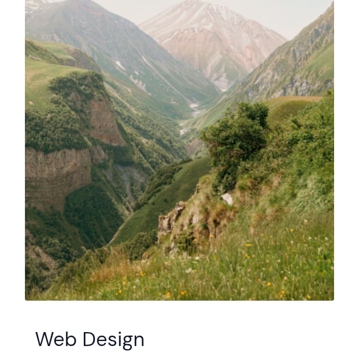 Portfolio for WordPress Website Designing