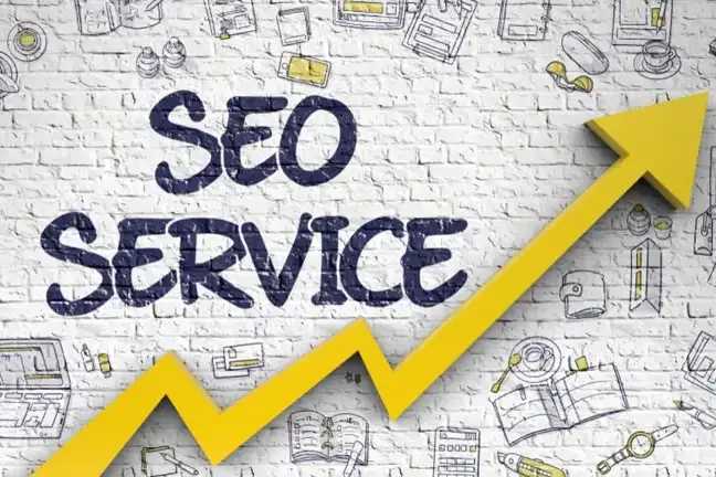 Portfolio for Professional SEO Services