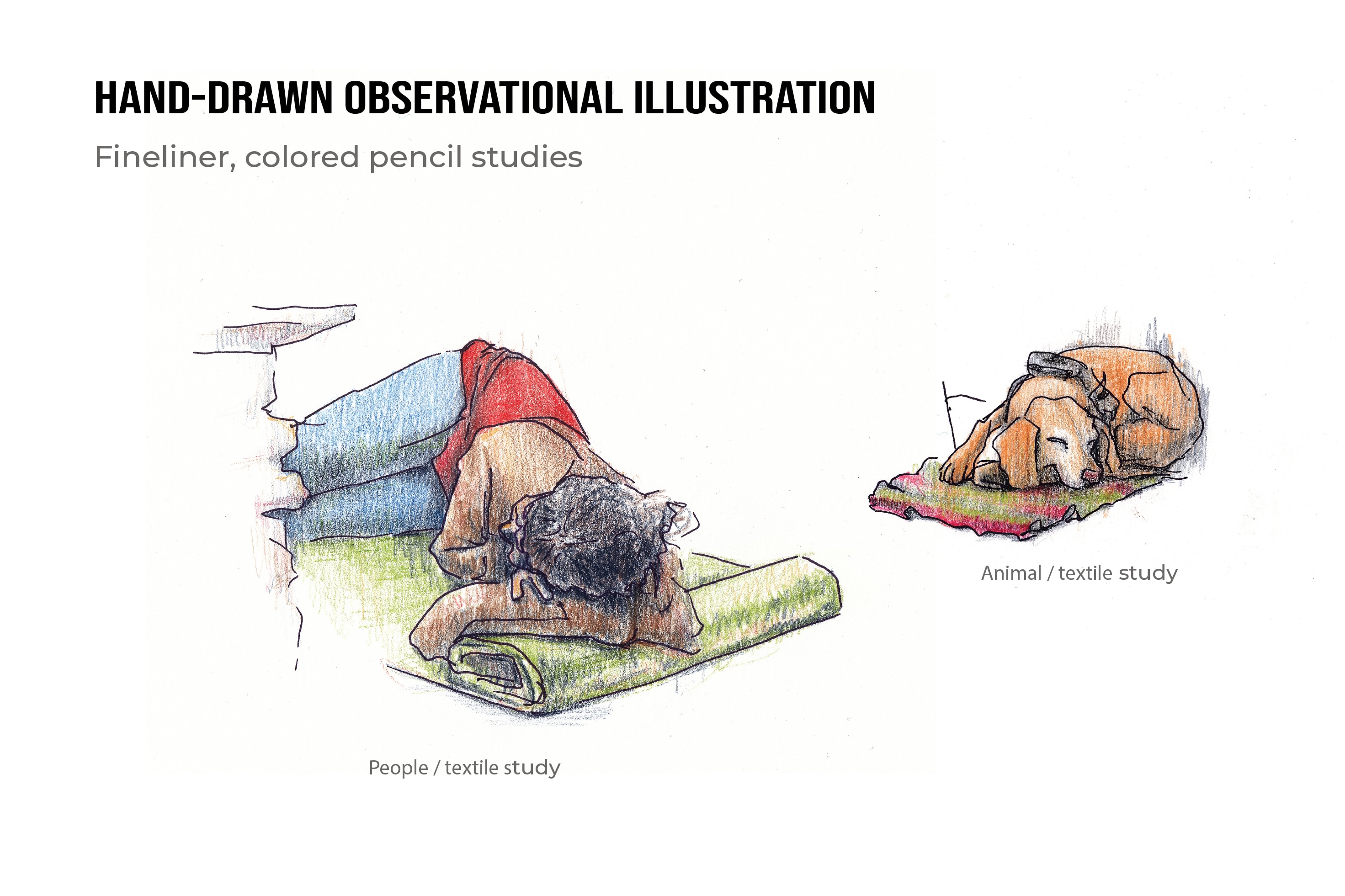 Portfolio for Hand-Drawn Illustration