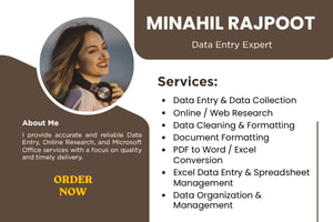 Portfolio for Excel Data Entry Specialist