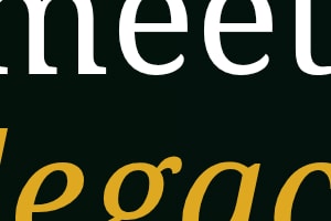 Portfolio for Web Developer | React | WordPress Expert