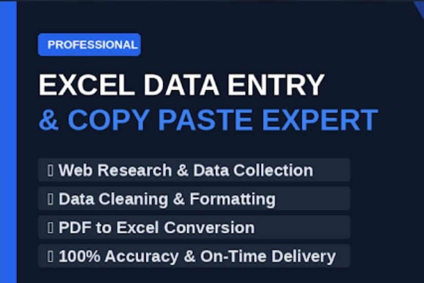 Portfolio for ​Excel Data Entry and Copy Paste Expert