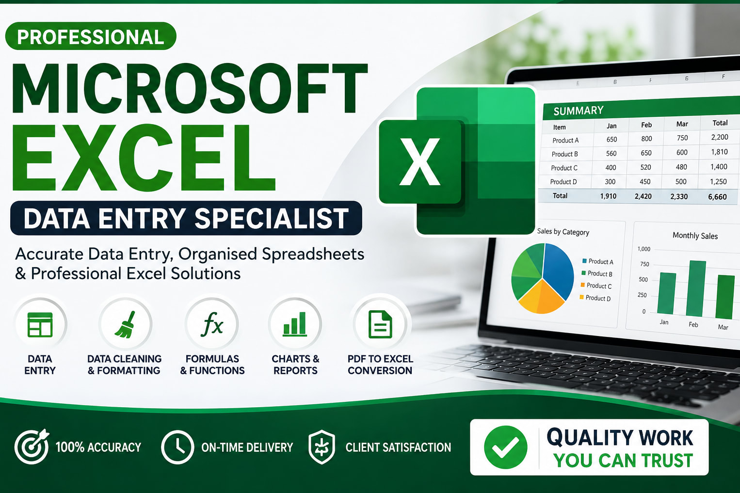 Portfolio for Professional Microsoft Excel Data Entry
