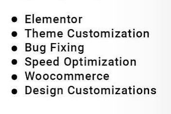 Portfolio for WordPress Website Development, Elementor