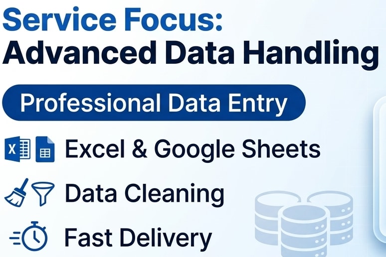 Portfolio for Professional Data Entry | Excel