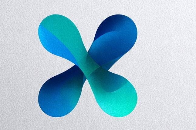 Portfolio for Logo Design in Canva