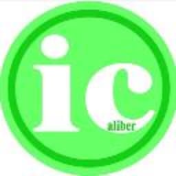 ICaliber Information & Technology