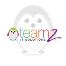 TEAMZ IT SOLUTIONS