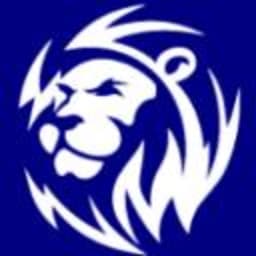 Lion Digital Marketing Co Ltd