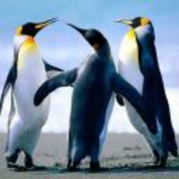 Abhishek Srivastav 2