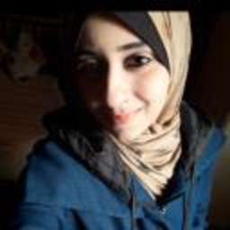 Alaa Alqaisi