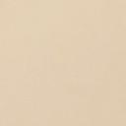 Olusanya Oluwaseun Emmanuel