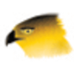 Gold Hawk Graphic Design