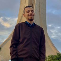 mohamed Benhamadouche