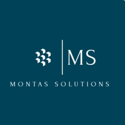 Montas solutions
