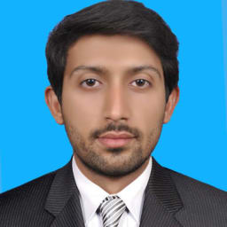 M Amir Mujtaba