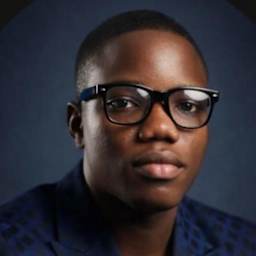 Theophilus Oyeniyi