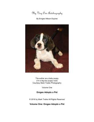 Emgee Adopts A Pet -p.pdf