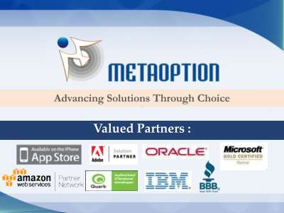 MetaOption LLC.pdf