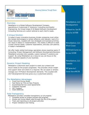 MetaOption_LLC_Brochure.pdf