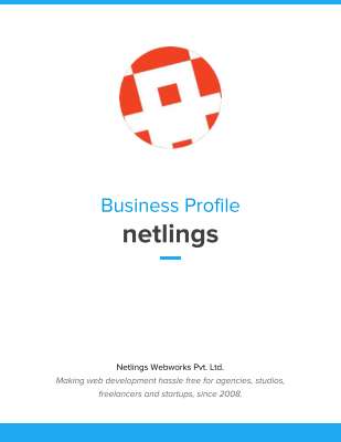 company-profile-netlings.pdf