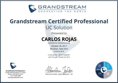 Certificate_Carlos_Rojas.pdf