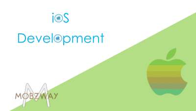 iOS--Service_Doc--.pdf