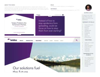 dcaulk-portfolio.pdf