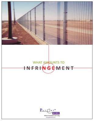 Infringement.pdf