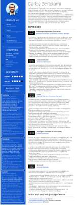 cbertolami_resume__vr2_PMO.pdf