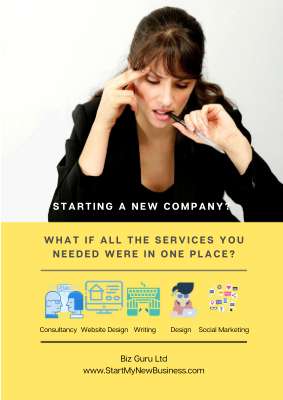 Biz Guru Business Start Up Services.pdf