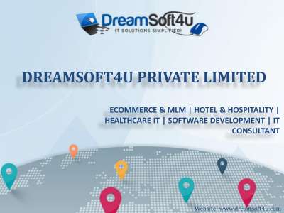 Dreamsoft4u_Company_Profile New.pdf