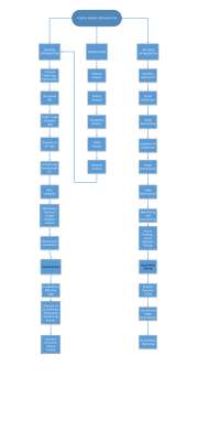 SEO_Process_Flow-Curix InfoTech.pdf