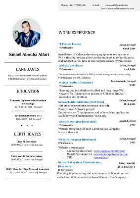 CV Ismael Abouba- IT Specialist.pdf