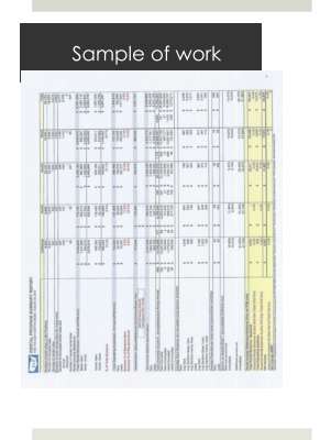 Sample of Work-Spreadsheet Summary.pdf